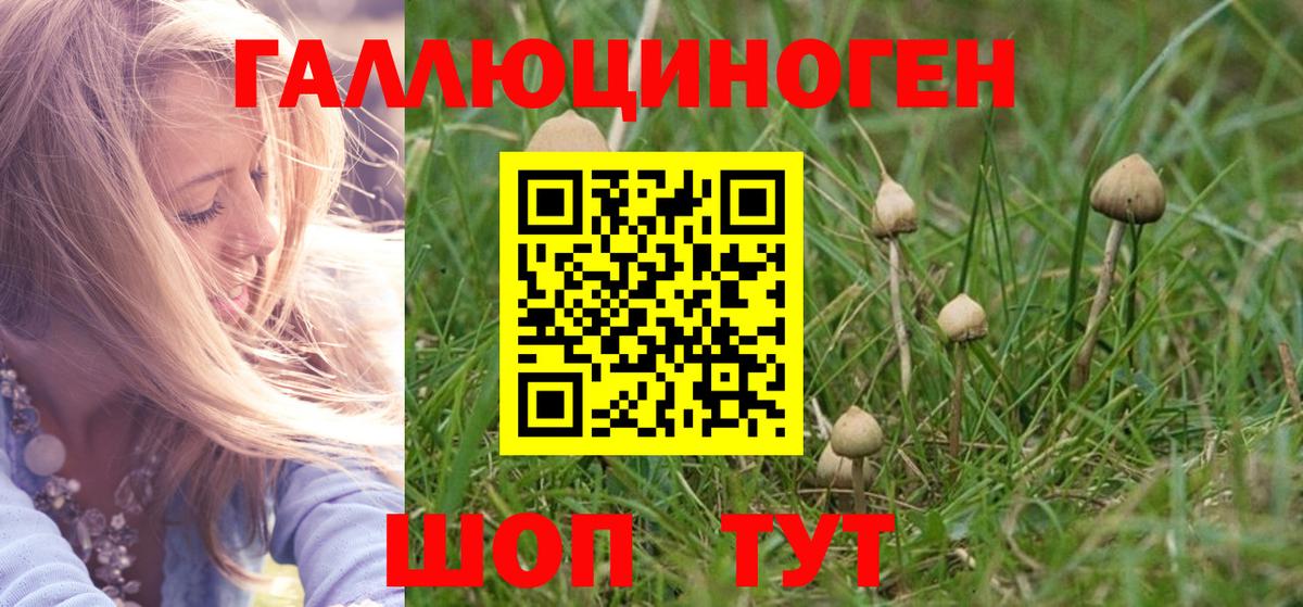 Сертолово  Галлюциногенные грибы Magic Shrooms  Вход с VPN 